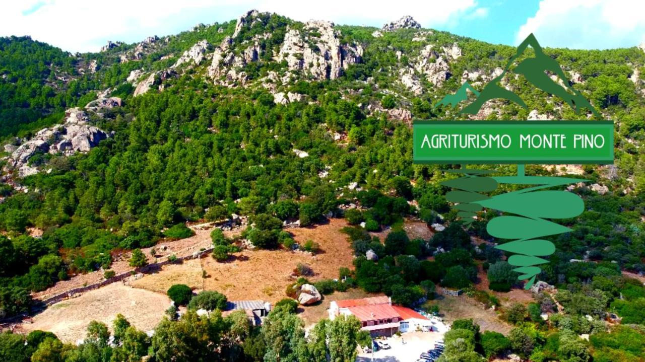 Agriturismo Monte Pino Telti Екстериор снимка