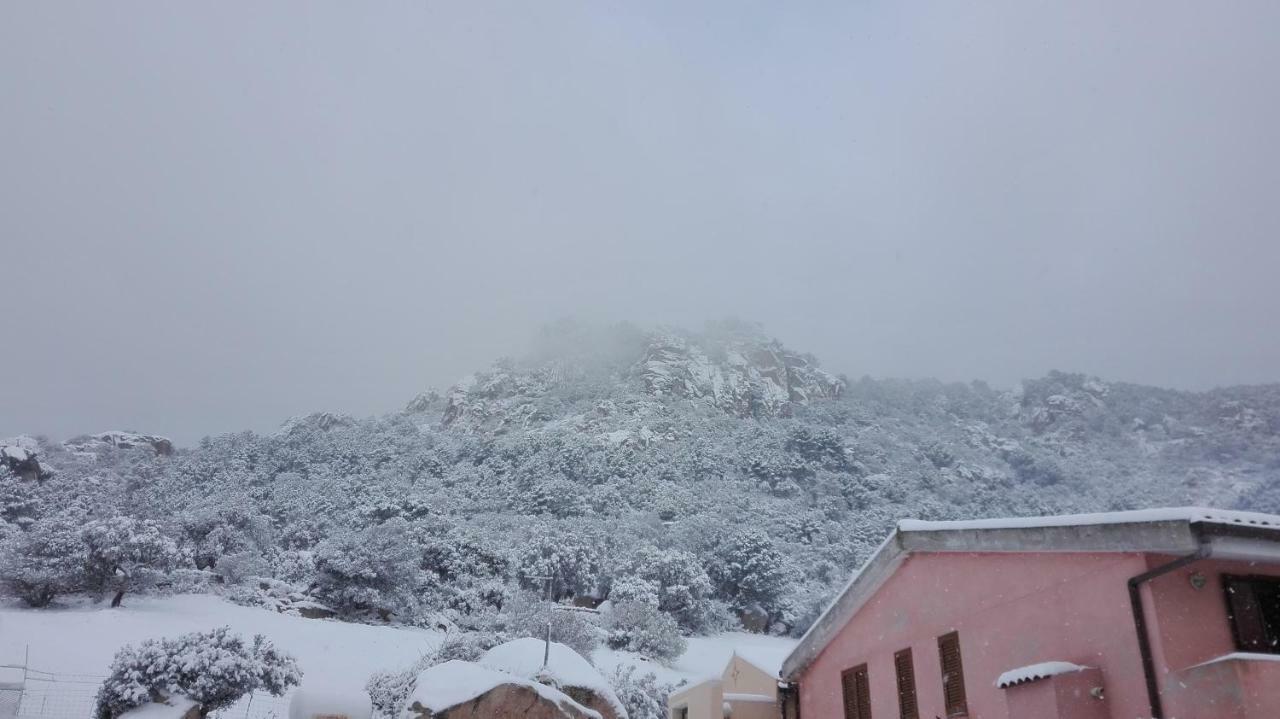 Agriturismo Monte Pino Telti Екстериор снимка