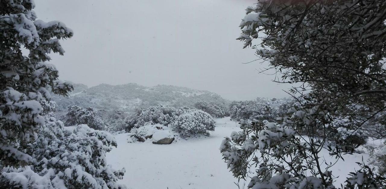 Agriturismo Monte Pino Telti Екстериор снимка